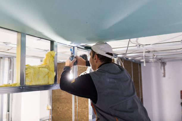 Best Blown-in Insulation  in Durand, MI