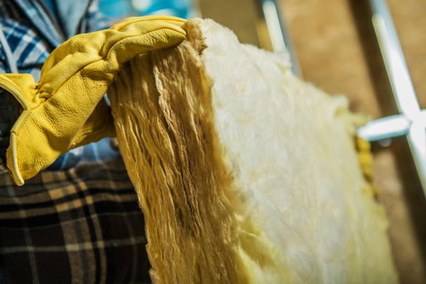 Best Attic Insulation Installation  in Durand, MI