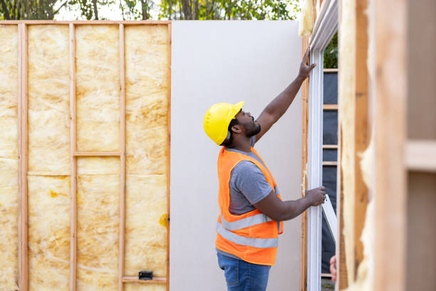 Best Insulation Inspection Services  in Durand, MI
