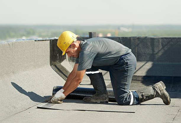 Best Local Insulation Services  in Durand, MI